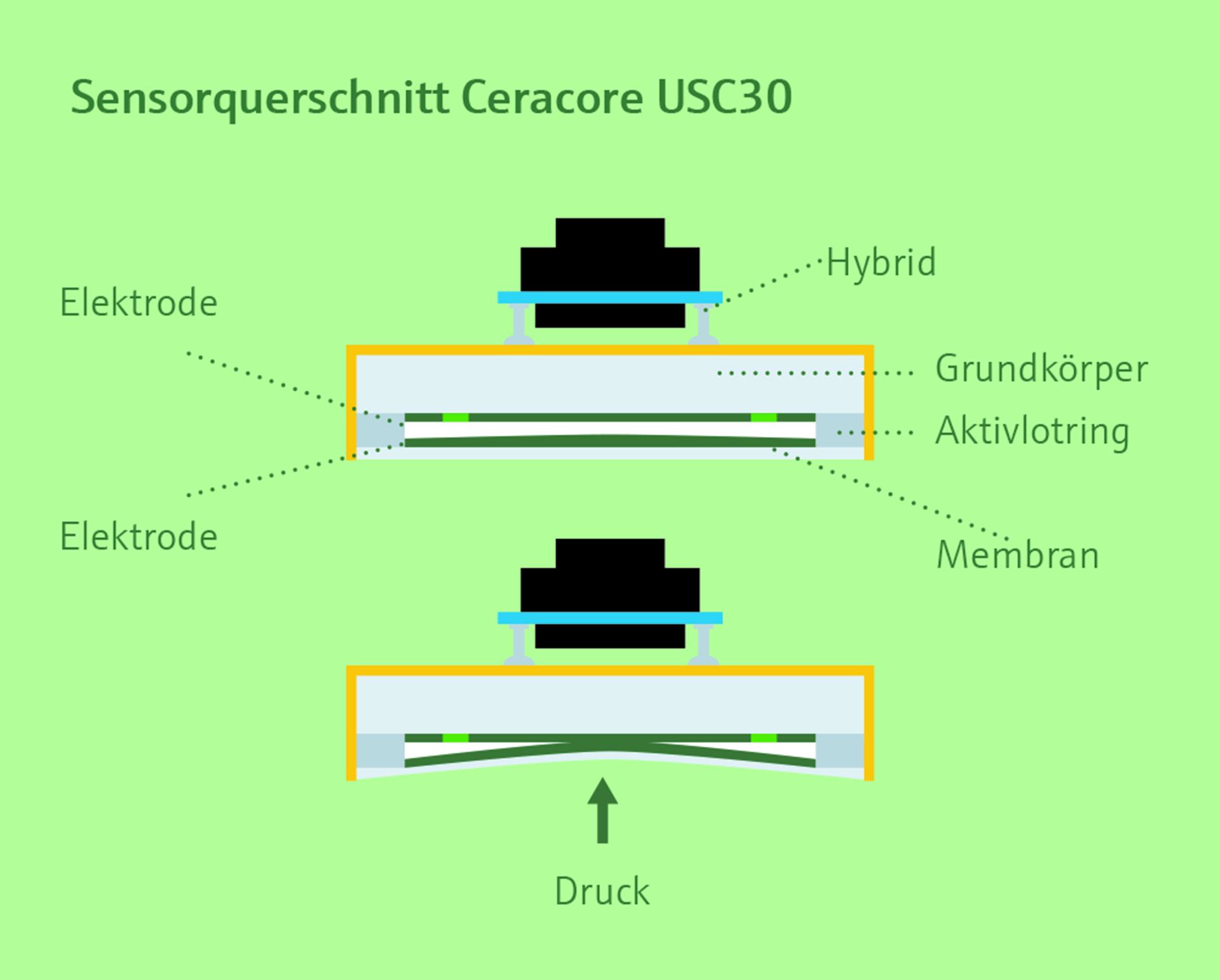 Kundenspezifische Sensoren & Komponenten